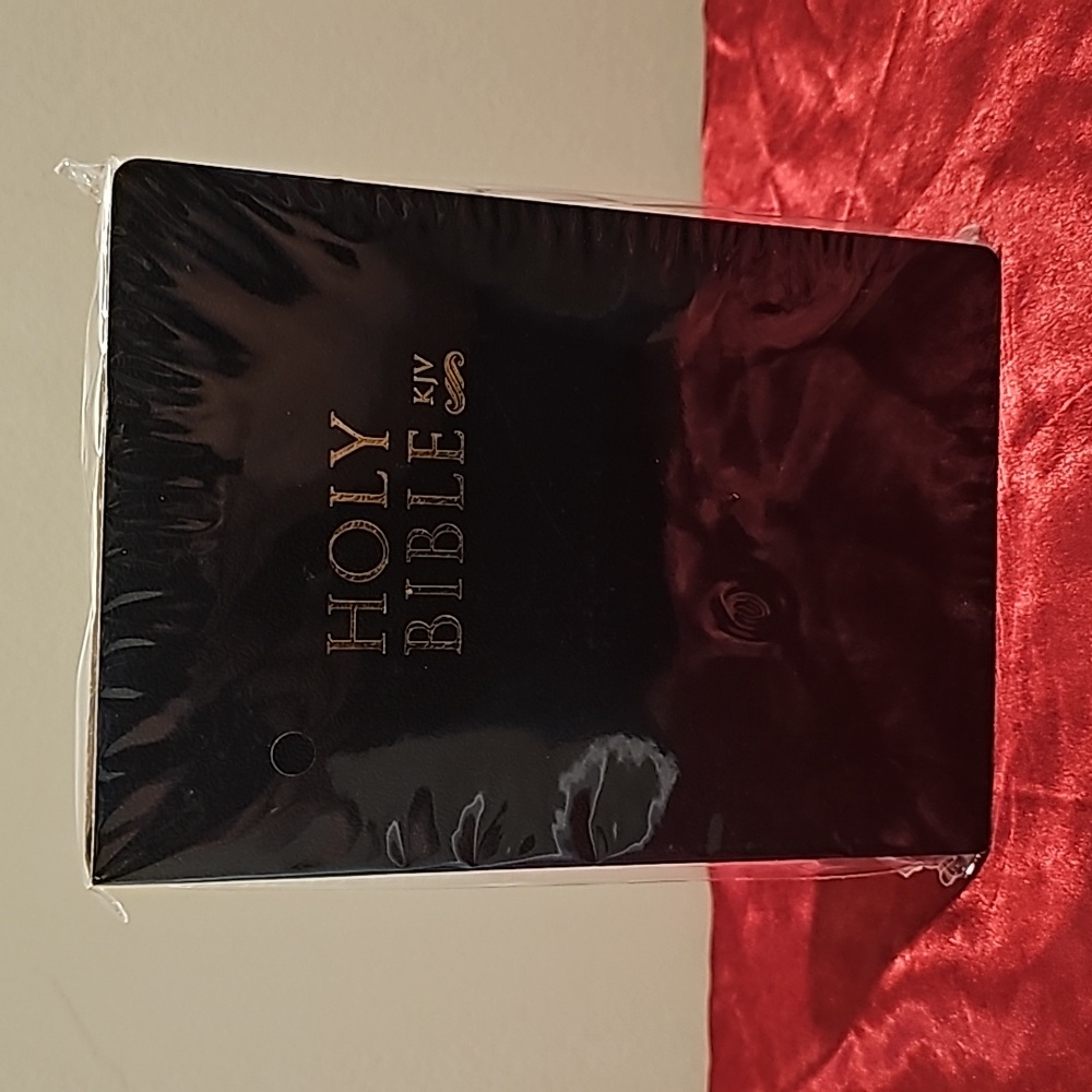 Holy Bibble, New